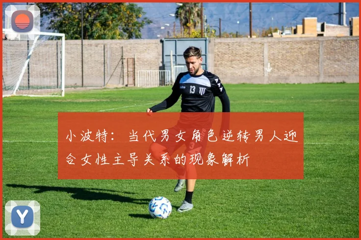 小波特：当代男女角色逆转男人迎合女性主导关系的现象解析