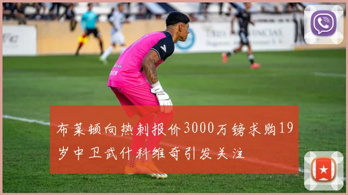 布莱顿向热刺报价3000万镑求购19岁中卫武什科维奇引发关注