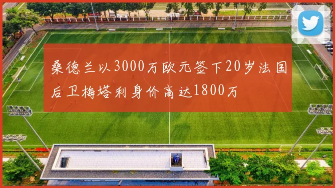 桑德兰以3000万欧元签下20岁法国后卫梅塔利身价高达1800万